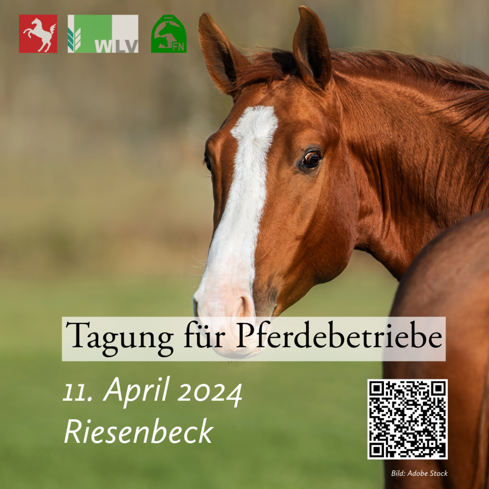 Tagung für Pferdebetriebe in Riesenbeck