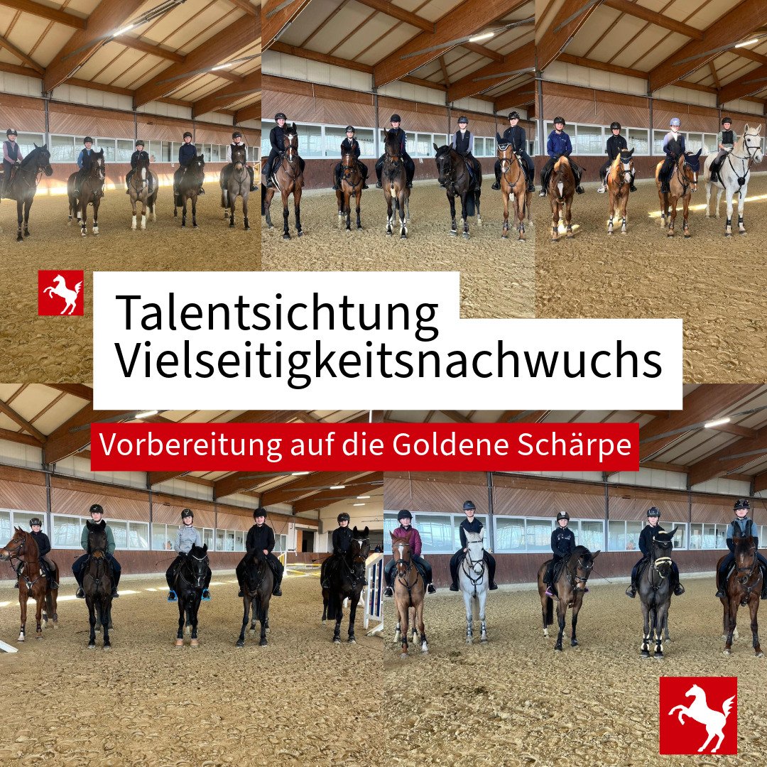 Das Bild zeigt Teilnehmende eines Talentfförderlehrgangs Vielseitigkeit