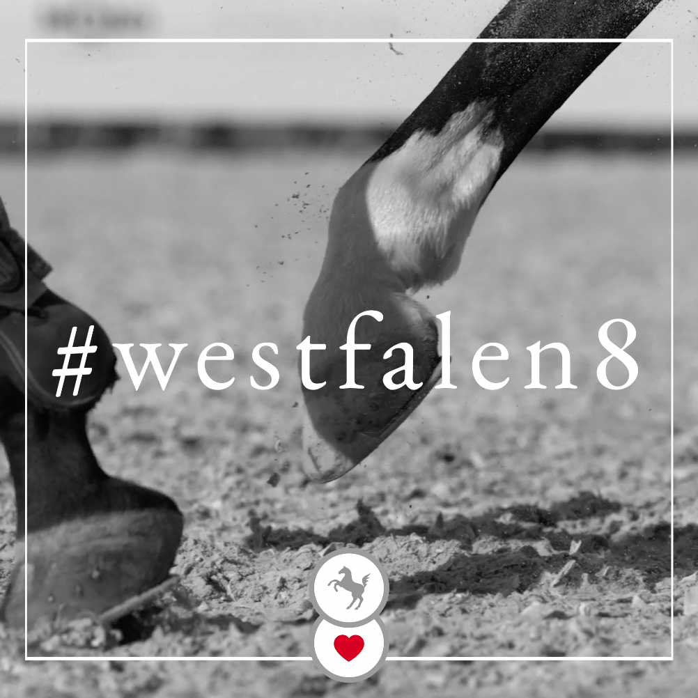 #westfalen8