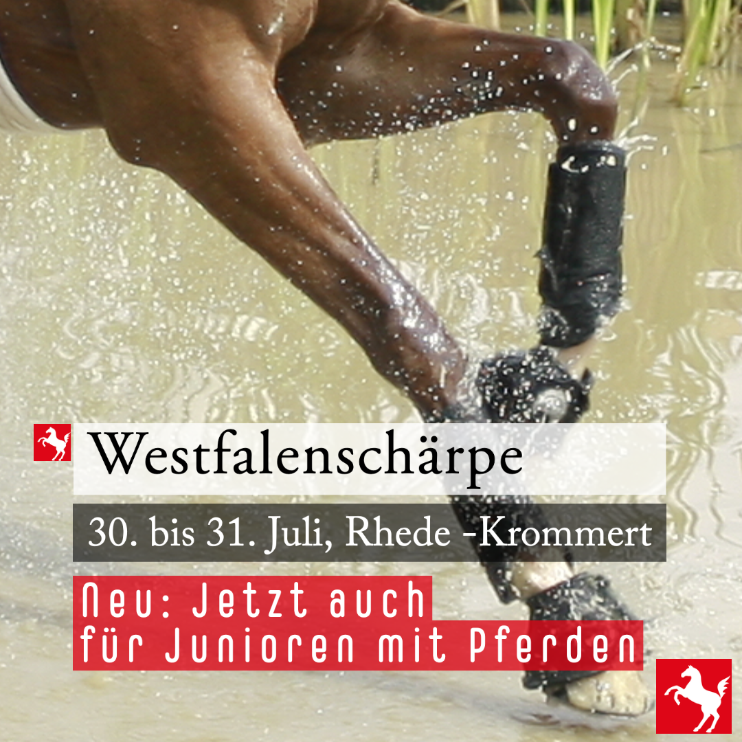Westfalenschärpe Westfalenschärpe 2022
