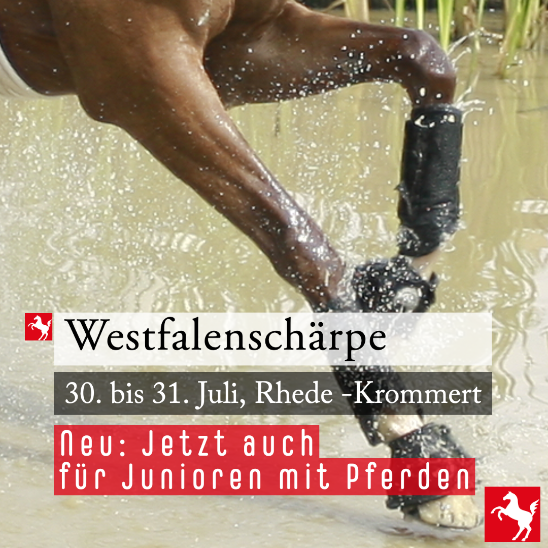 Westfalenschärpe 2022