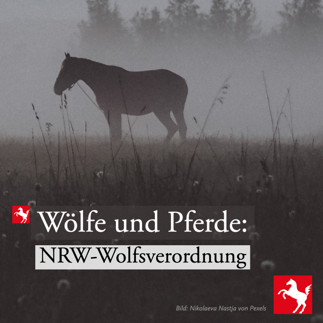 NRW-Wolfsverordnung NRW hat eine Wolfsverordnung
