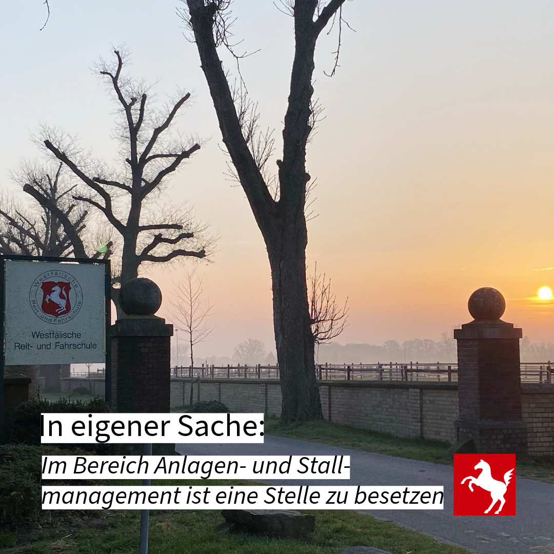 An der Westfälischen Reit- und Fahrschule ist eine Stelle im Bereich Anlagen- und Stallmanagement zu besetzen