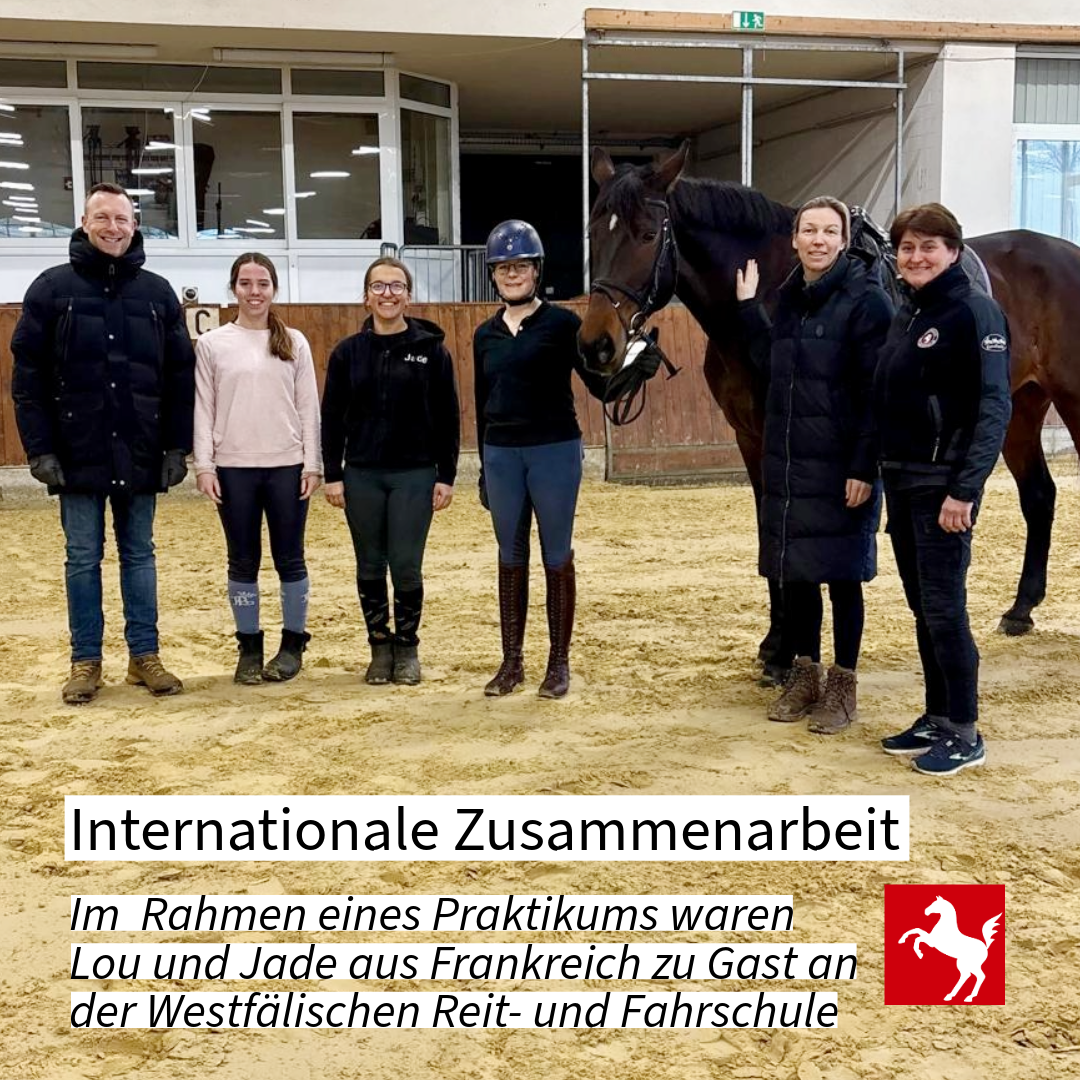 Internationales Praktikum an der Westfälischen Reit- und Fahrschule