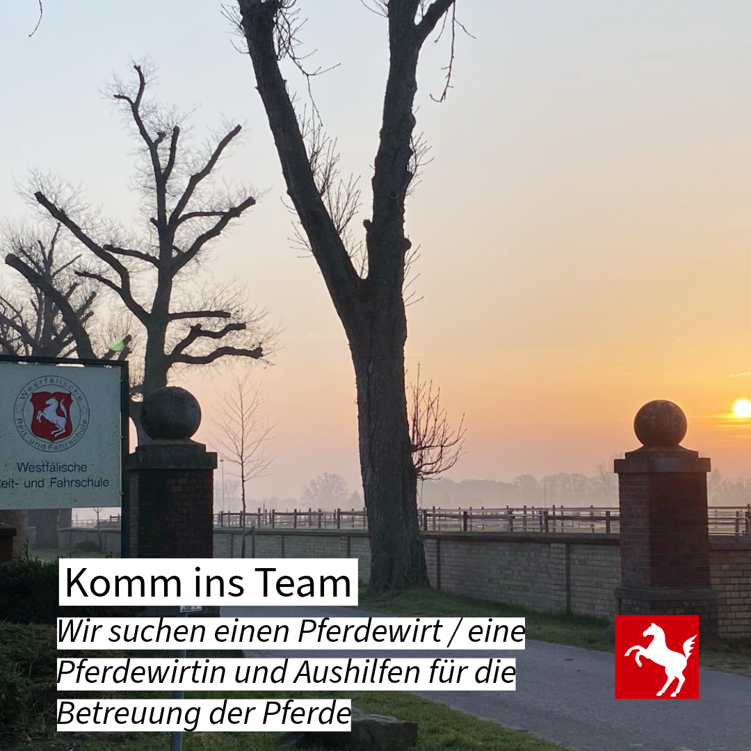 Jobs an der Westfälischen Reit- und Fahrschule