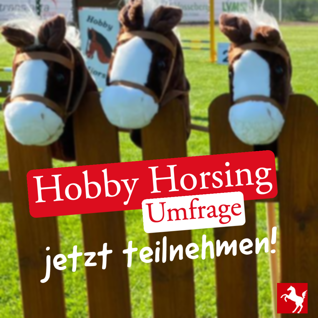 Hobby Horsing