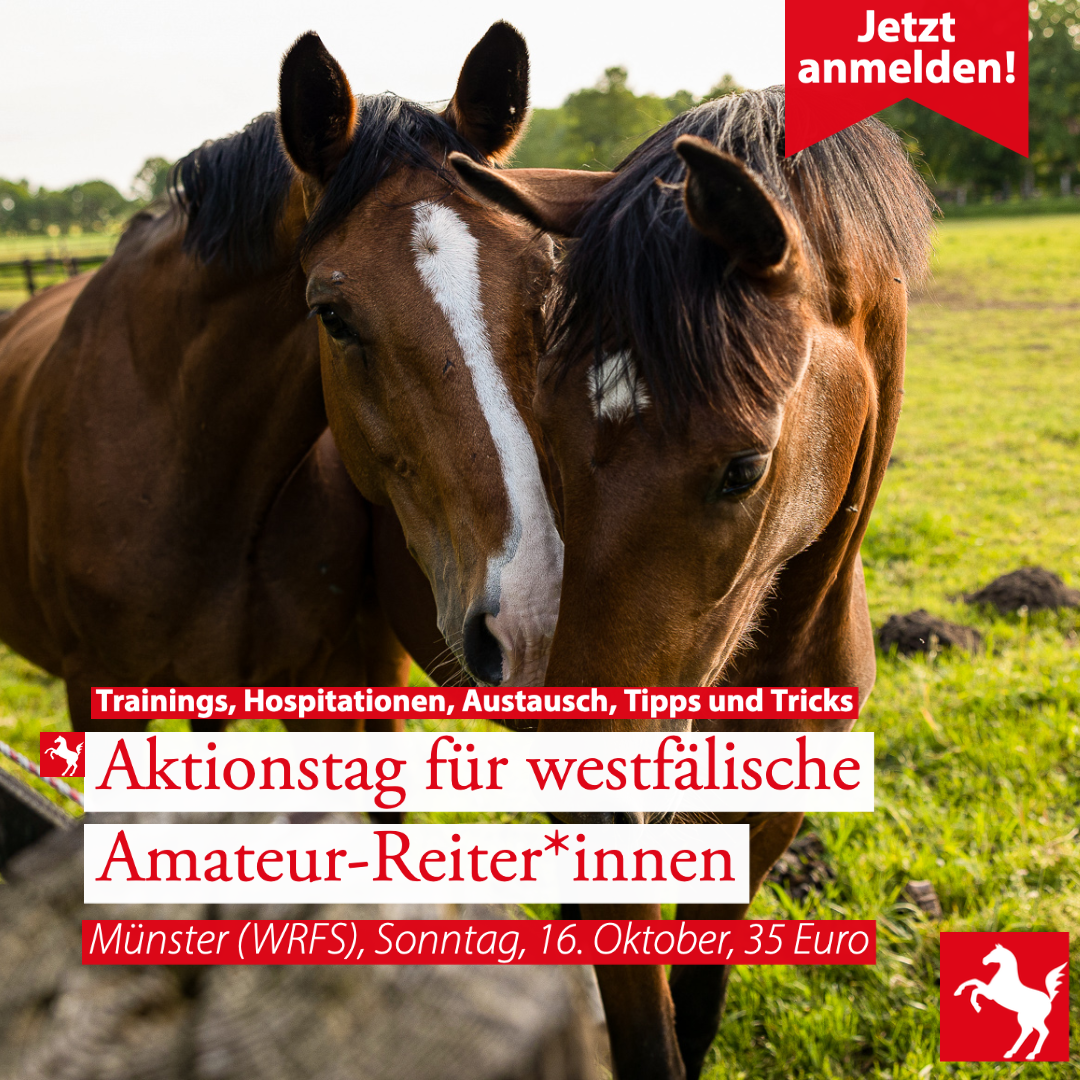 Aktionstag Amateure