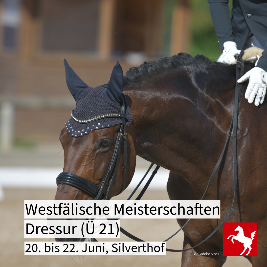 Westfälische Meisterschaften Dressur für über 21 jährige Pferdesportler Westfälische Meisterschaften Dressur für über 21 jährige Pferdesportler