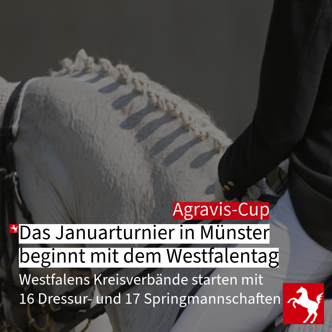 Westfalentag 2024