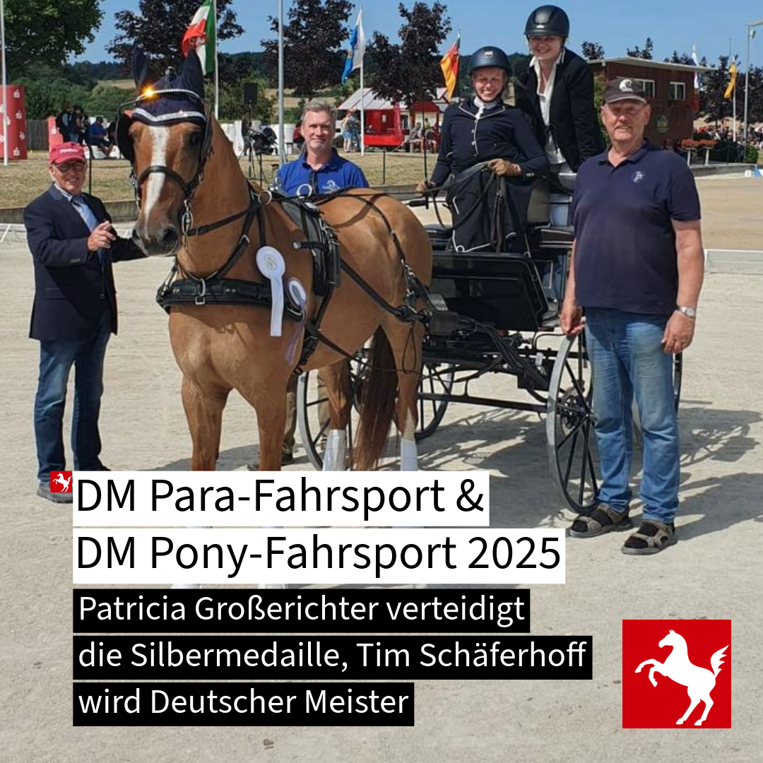 DM Para- und Ponyfahrsport 2025: Gold und Silber für Westfalen DM Para- und Ponyfahrsport 2025: Gold und Silber für Westfalen
