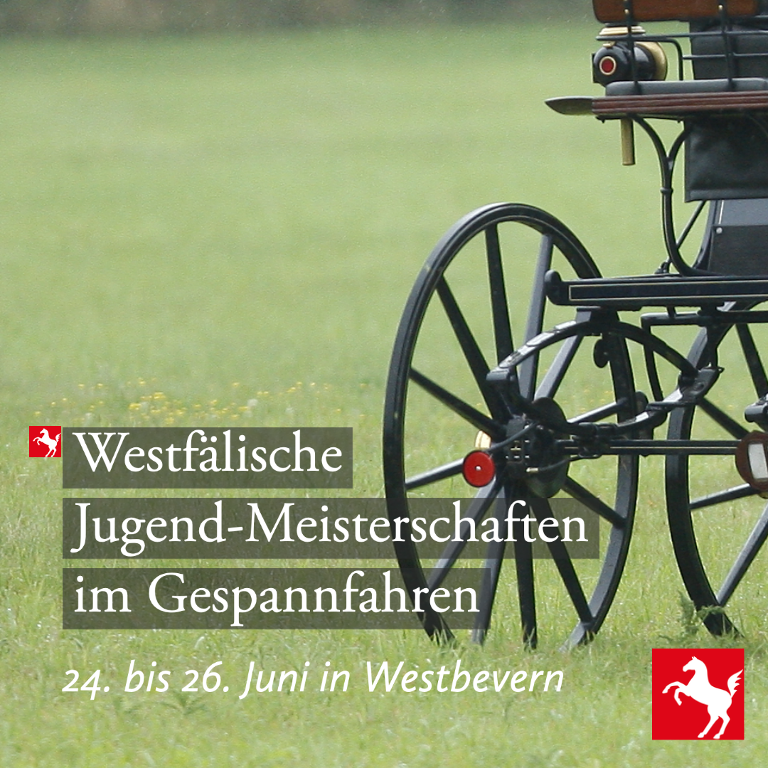 Westfälische Meisterschaften 2022 Die neuen Westfalenmeister im Gespannfahren werden ermittelt