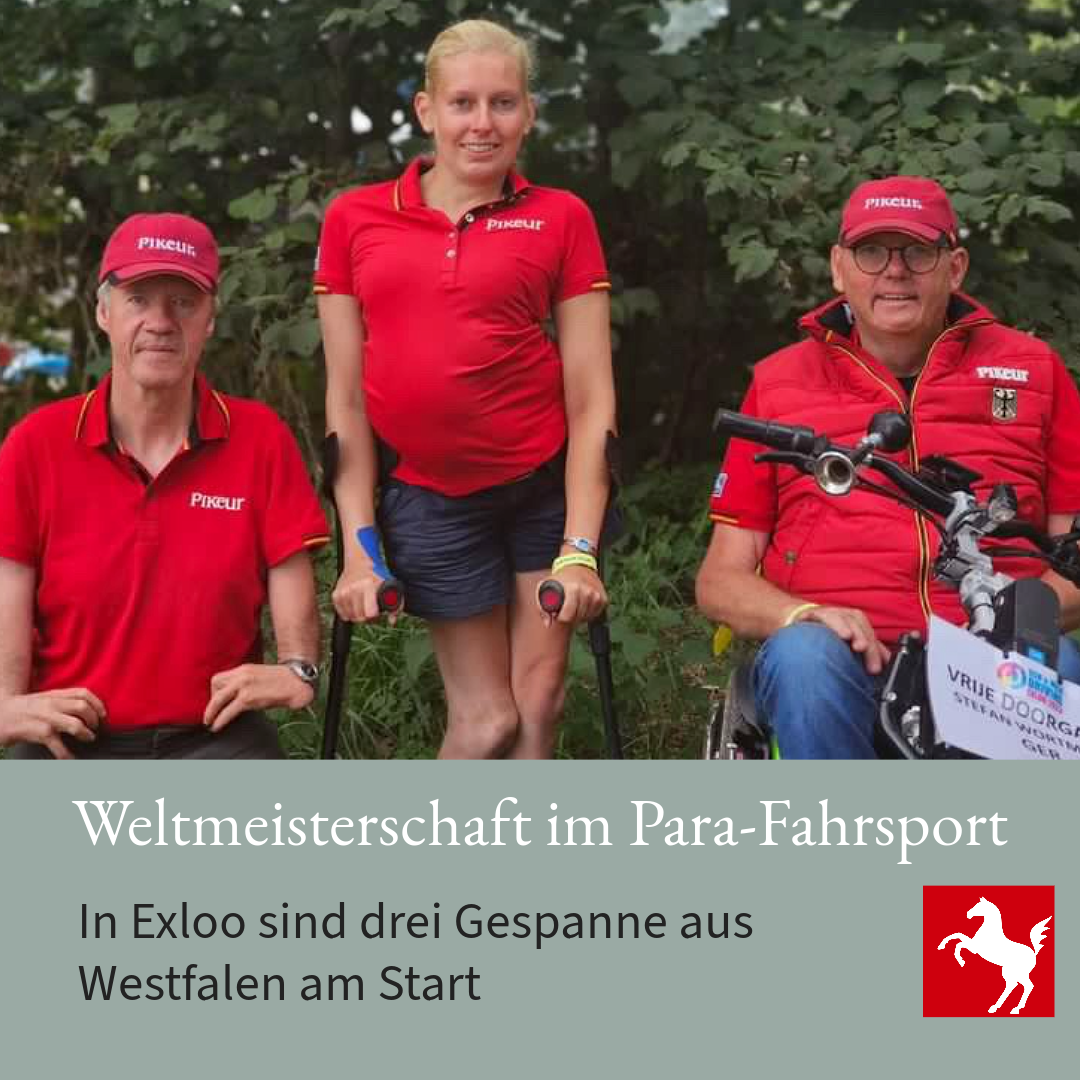 Weltmeisterschaft Para-Fahrsport 2023