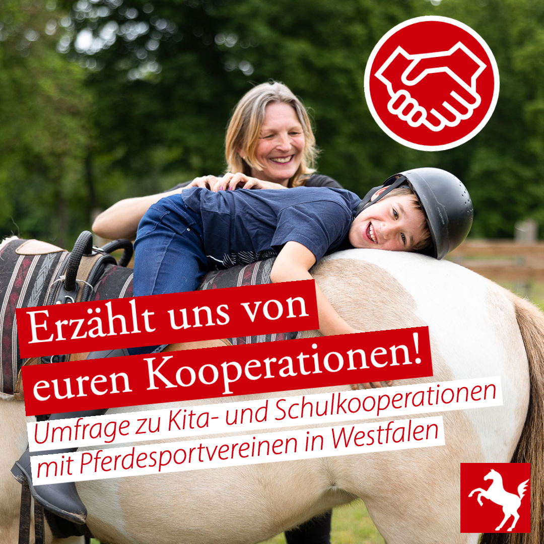 Kita- und Schulkooperationen