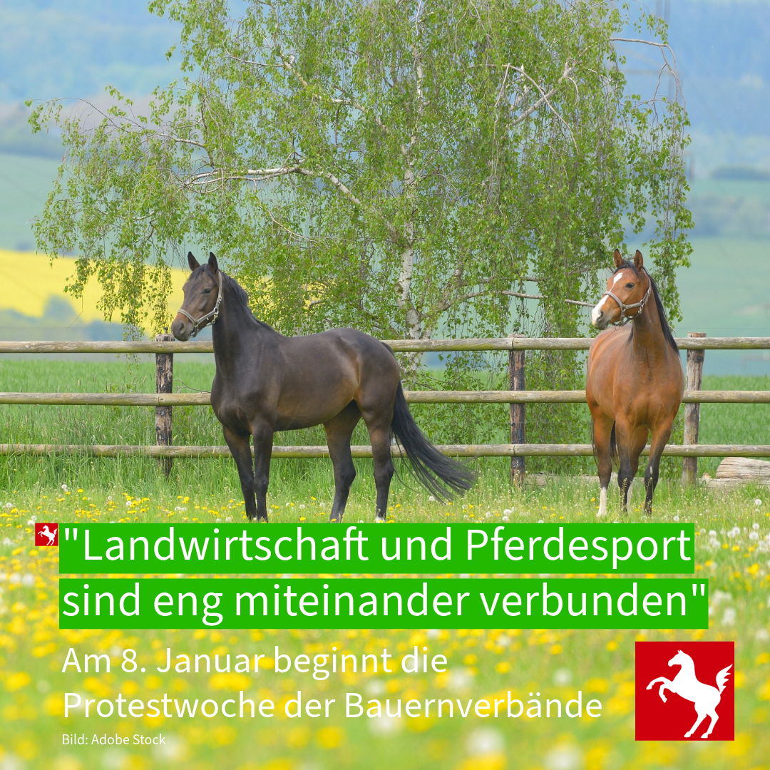 Pferdesport und Landwirtschaft 