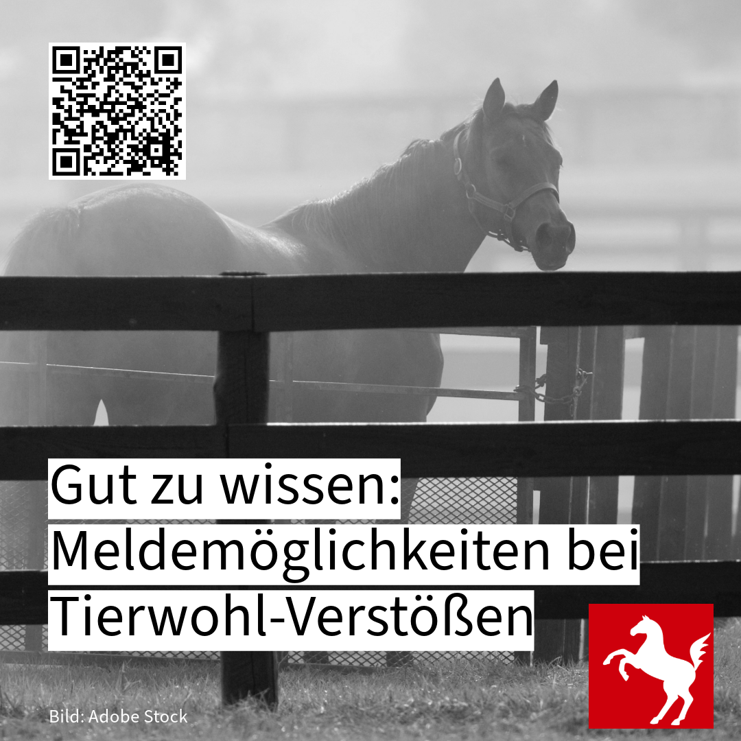 Tierwohlverstoß melden Tierwohlverstoß melden