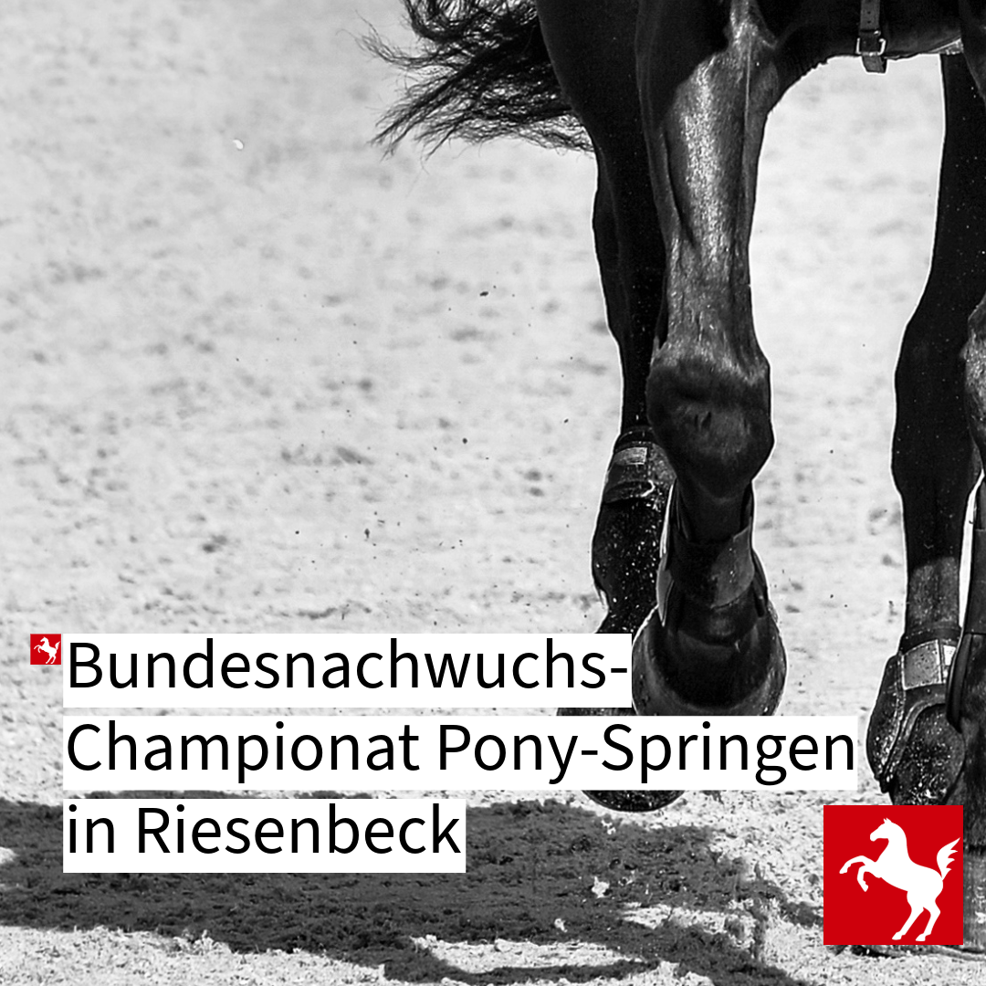 Bundesnachwuchschampionat Pony-Springen 2026