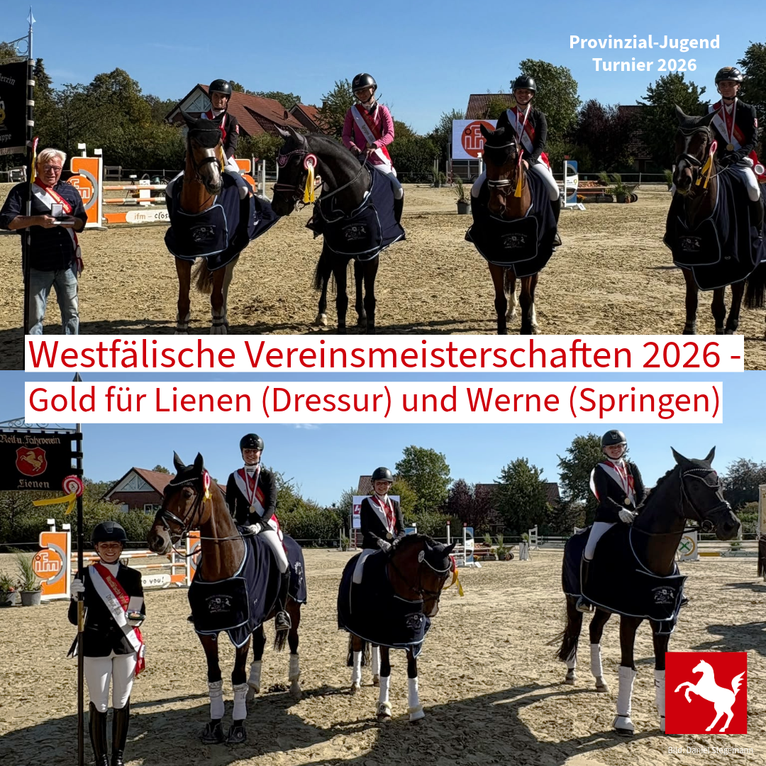 PV-Turnier 2026: Die Vereinsmeisterschaften sind entschieden PV-Turnier 2026: Die Vereinsmeisterschaften sind entschieden