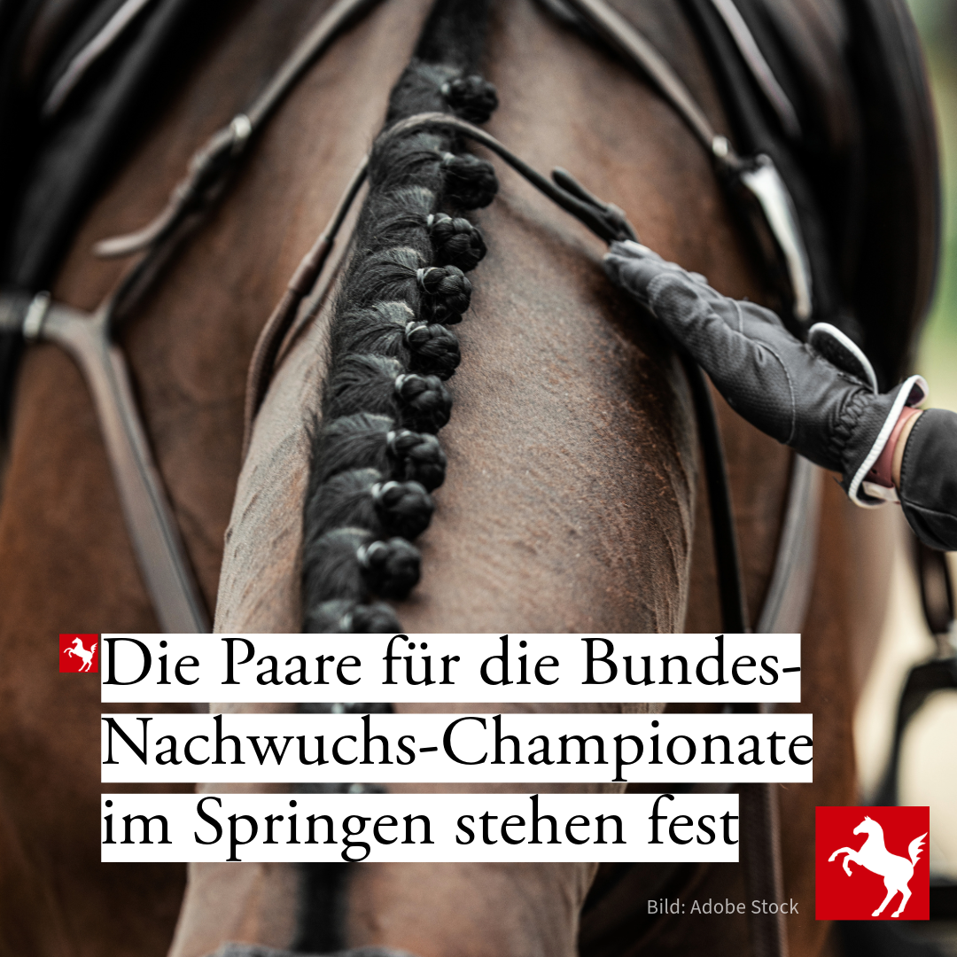 Westfälische Paare für die Nachwuchs-Championate Springen