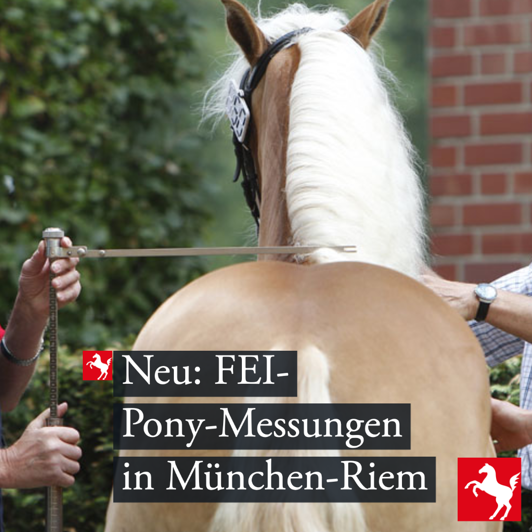 FEI-Messtermine Für Starts auf internationalen Turnieren müssen Ponys eine FEI-Messbescheinigung haben