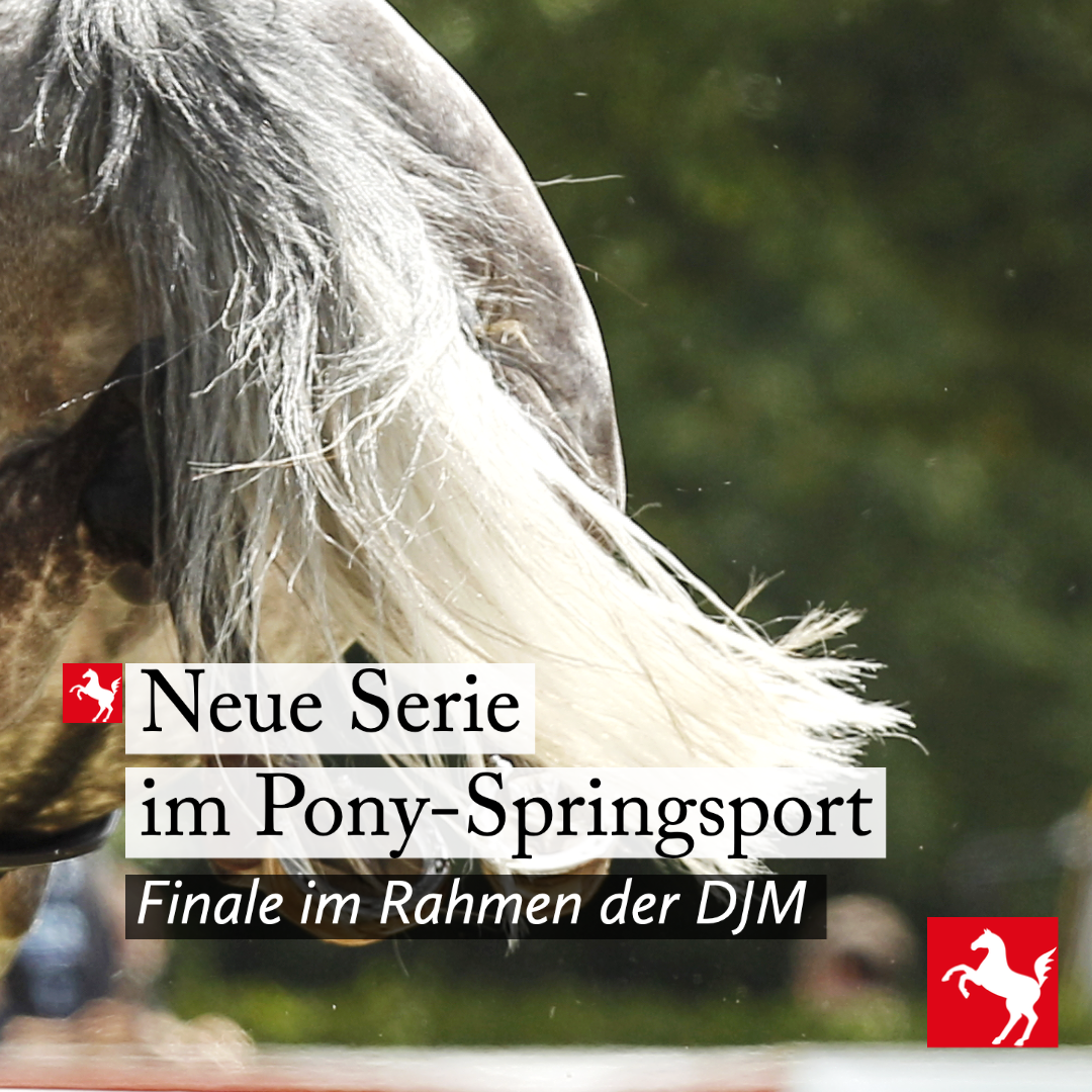 Pony-Springsport: Neue Serie Finale im Rahmen der DJM