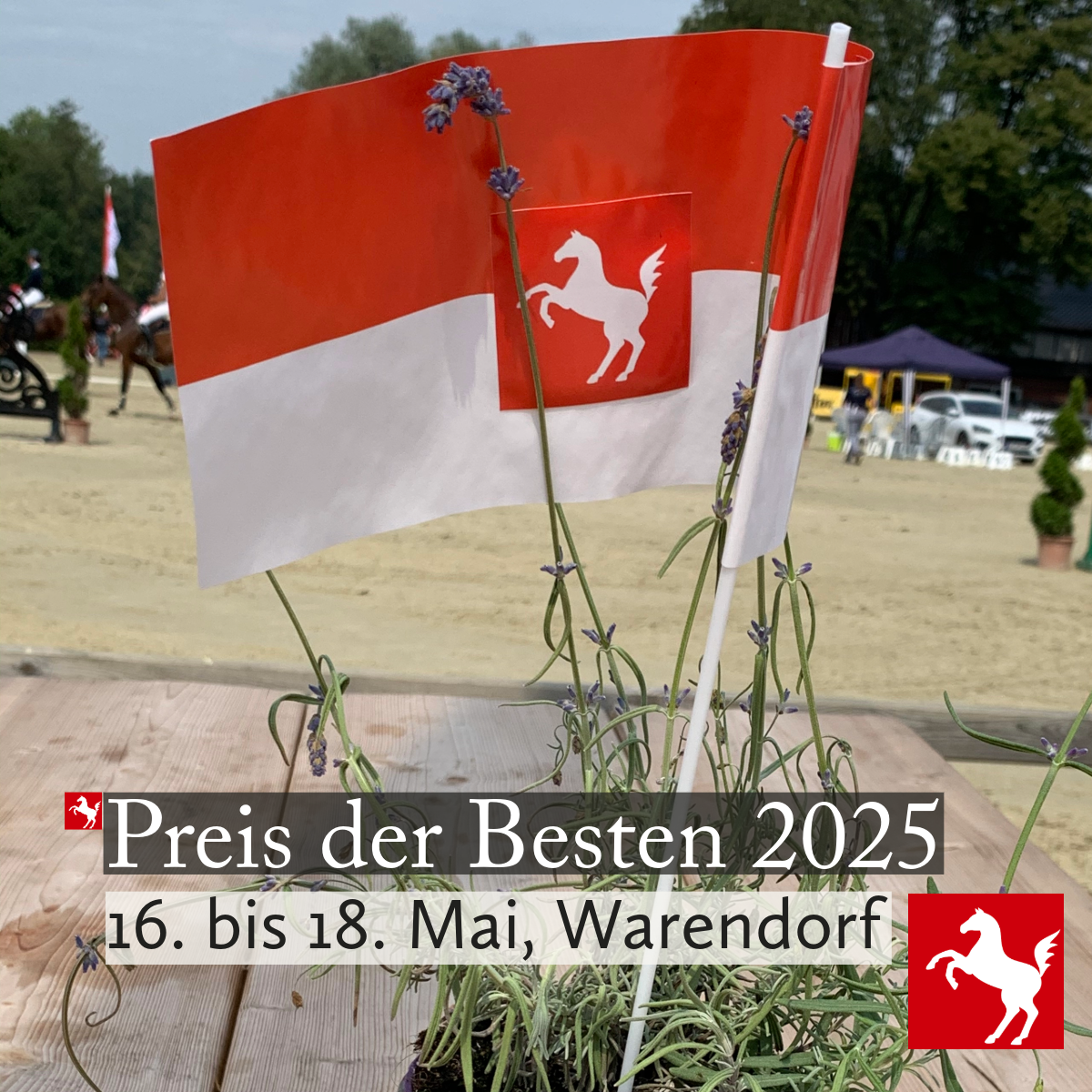 Symbolbild zum Preis der Besten 2025 Symbolbild zum Preis der Besten 2025