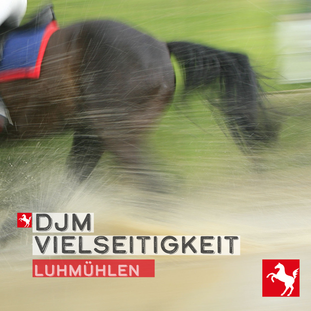 DJM Vielseitigkeit 2023