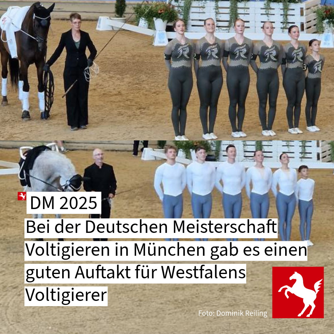 Die Deutsche Meisterschaft im Voltigieren 2025 hat begonnen