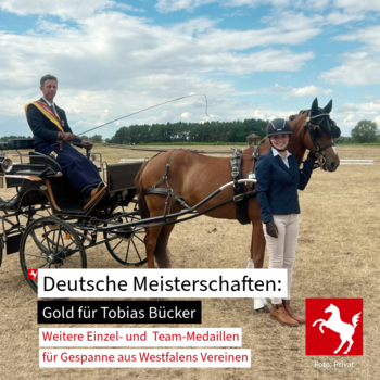 DM Fahren in Schildau 2026: Medaillensegen für Westfalens Gespanne