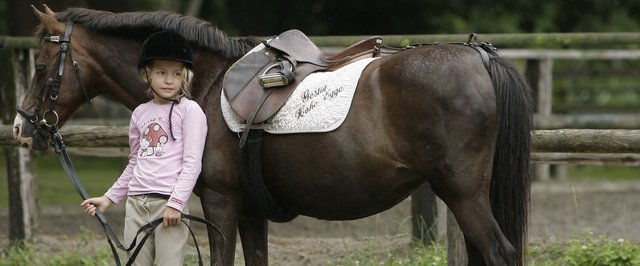 Ponyförderung Westfalen