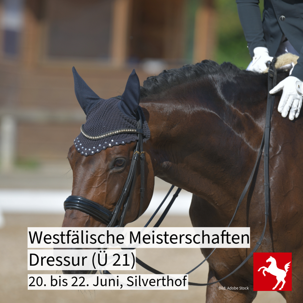 Westfälische Meisterschaften Dressur für über 21 jährige Pferdesportler