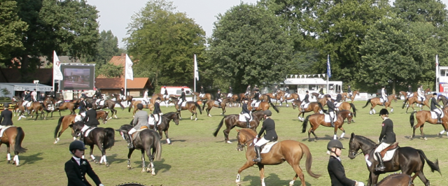 Leistungssport in Westfalen