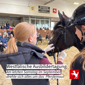 Westfälische Ausbildertagung 2025: Im Fokus stand das Pferdemaul