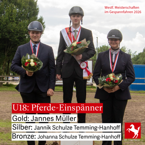Westfälische Jugendmeisterschaft (U18): Pferde-Einspänner Westfälische Jugendmeisterschaft (U18): Pferde-Einspänner