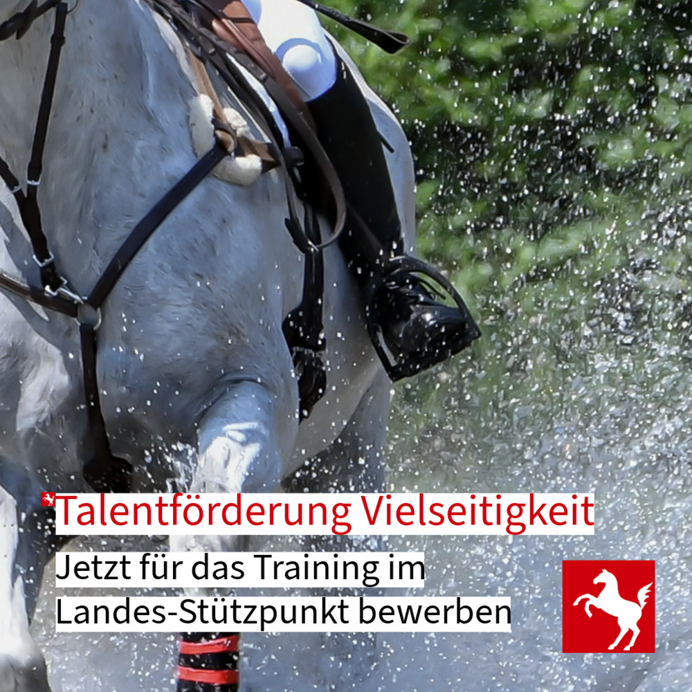 Training im Landesstützpunkt Vielseitigkeit: Talente können sich bis zum 8.12.2025 bewerben