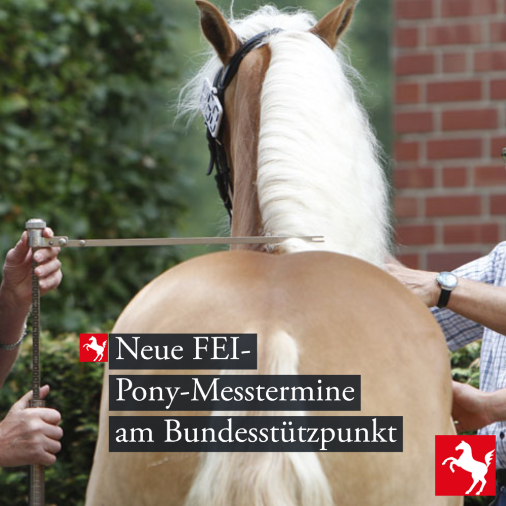 FEI-Ponymesstermine im Januar und April 2026