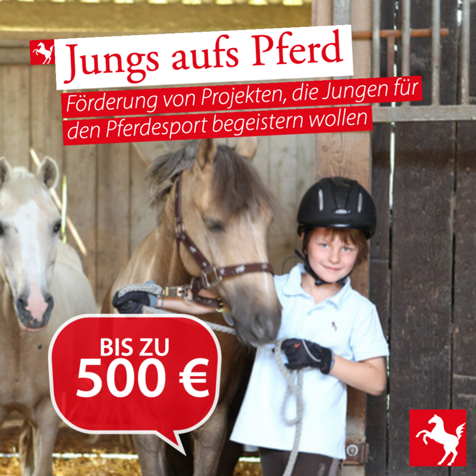 Jungs aufs Pferd