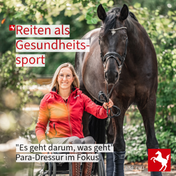 Gesundheitssport mit Pferd