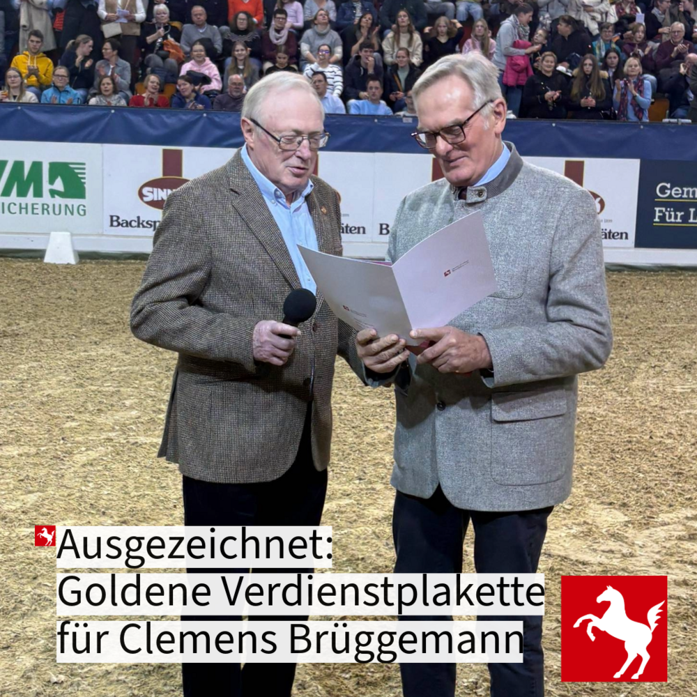 Goldene Verdienstplakette für Clemens Brüggemann
