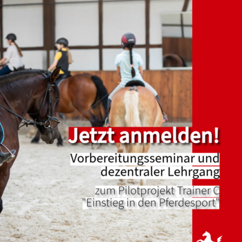 Pilotprojekt Trainer C Voltigieren Basissport 