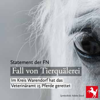 Statement zu einem Fall von Tierquälerei im Kreis Warendorf
