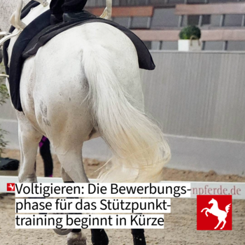 Stützpunkttraining Voltigieren 2025/26
