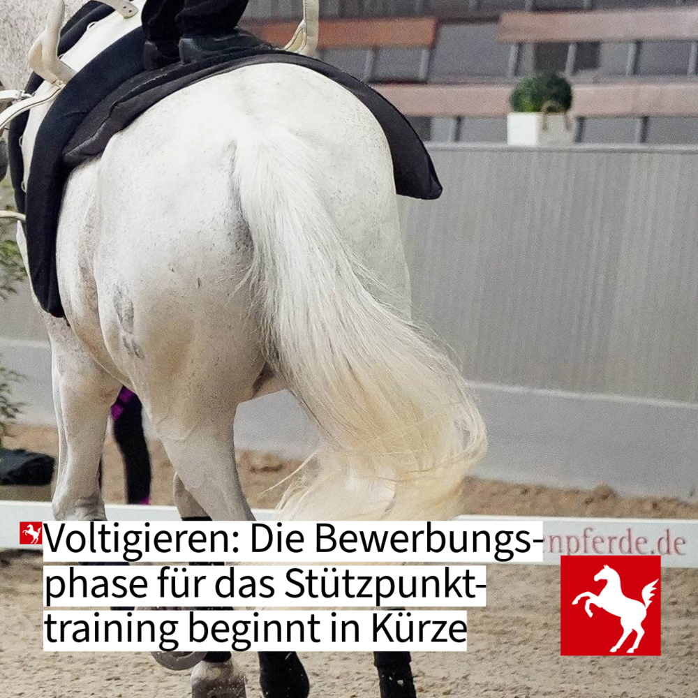 Stützpunkttraining Voltigieren 2025/26