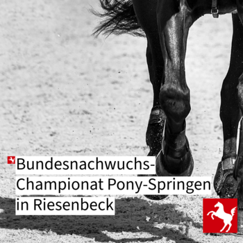 Bundesnachwuchschampionat Pony-Springen 2026