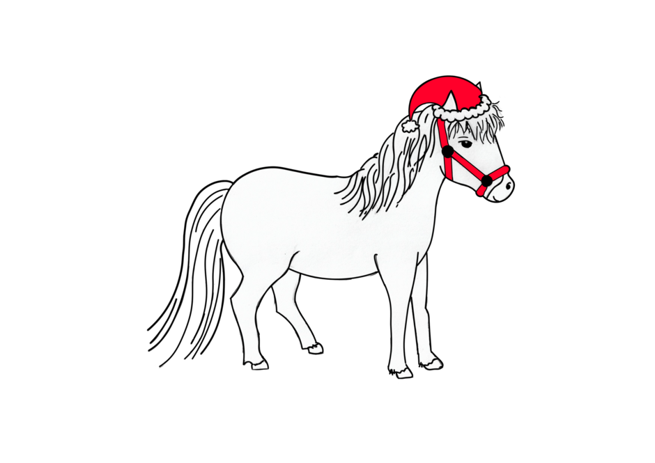 Das kleine Weihnachtspony Nick
