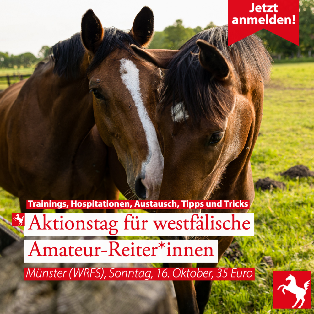 Aktionstag Amateure