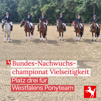 Westfalens Ponyteam belegt Platz 3 beim Nachwuchschampionat