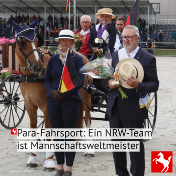 WM Para-Fahrsport: Teamgold und Einzelsilber für Patricia Großerichter