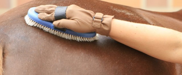 Krankenversicherung im Sport
