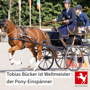 Fahrsport: Tobias Bücker ist Weltmeister 