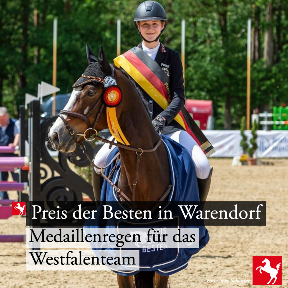 Medaillenregen für das Westfalenteam